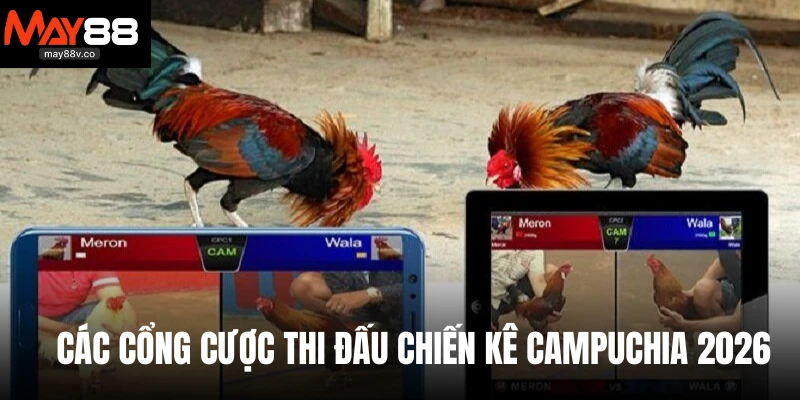 Các cổng cược thi đấu chiến kê Campuchia 2026