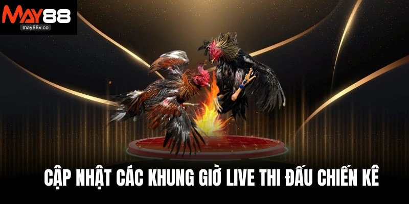 Cập nhật các khung giờ live thi đấu chiến kê