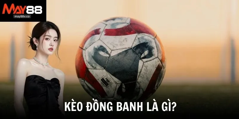 Tìm hiểu thông tin chi tiết