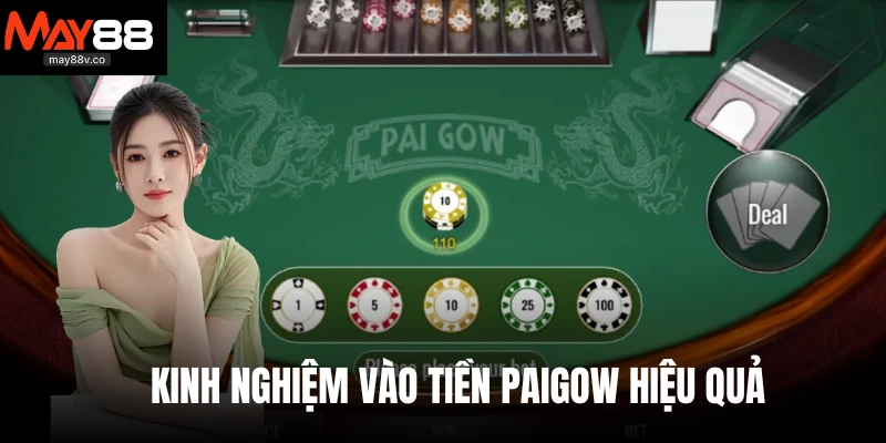 Kinh nghiệm vào tiền Paigow hiệu quả